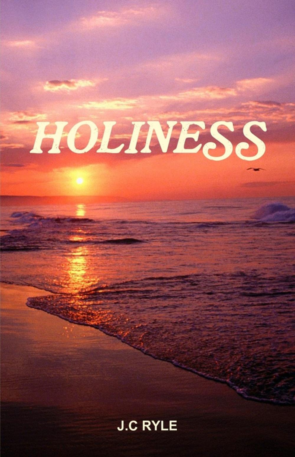 Big bigCover of Holiness