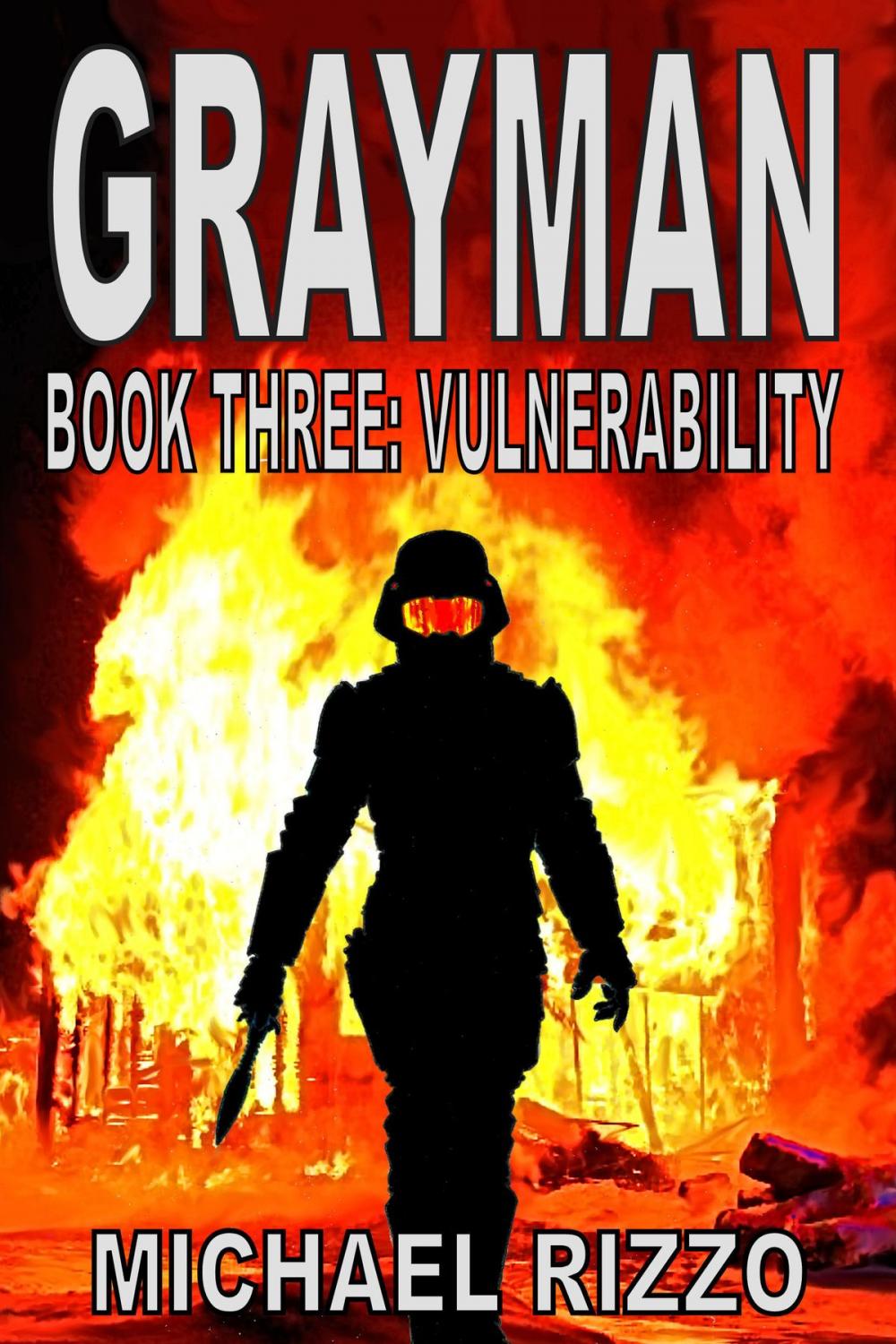 Big bigCover of Grayman Book Three: Vulnerability