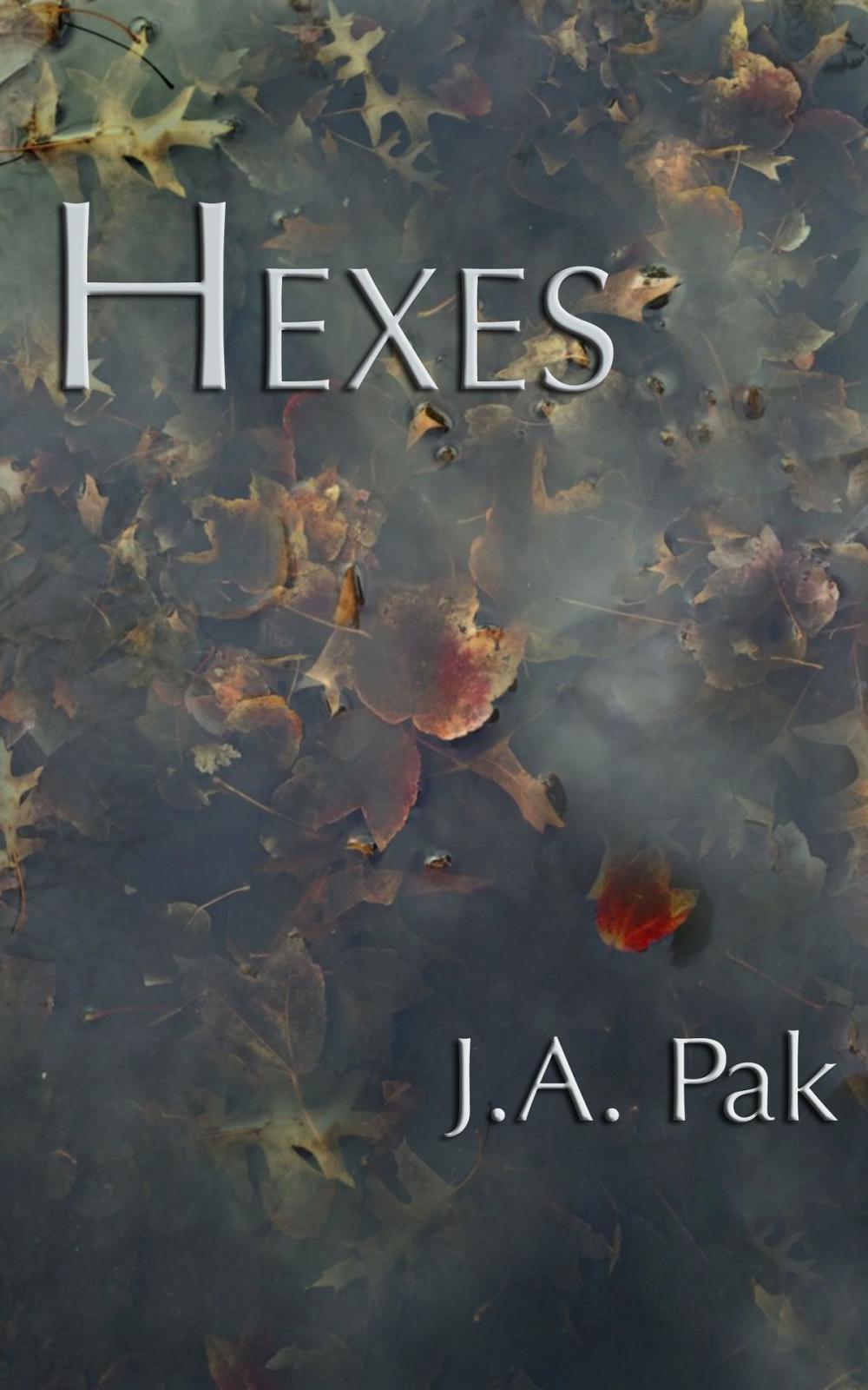 Big bigCover of Hexes