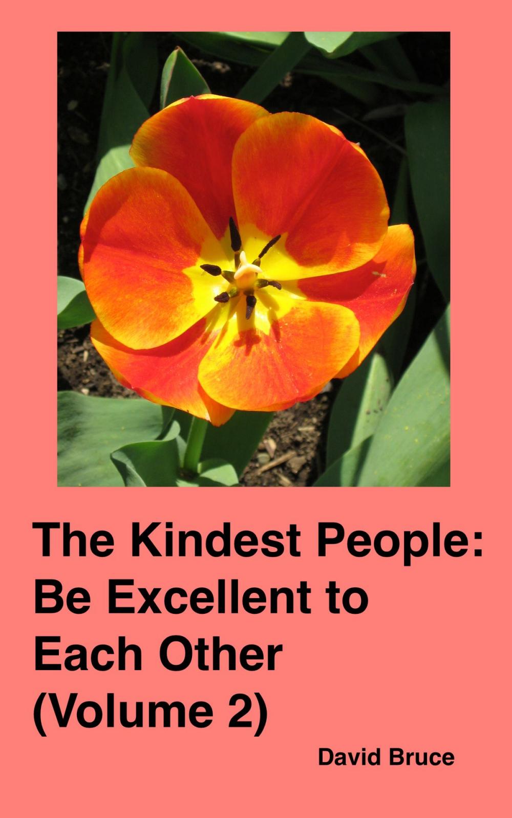 Big bigCover of The Kindest People: Be Excellent to Each Other (Volume 2)