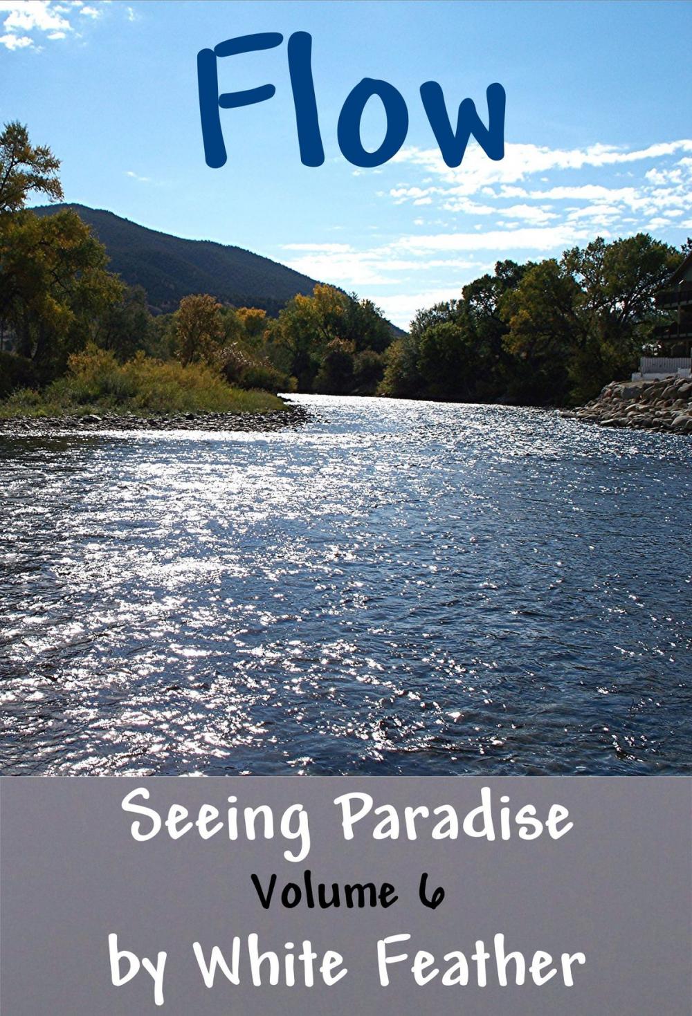 Big bigCover of Seeing Paradise, Volume 6: Flow