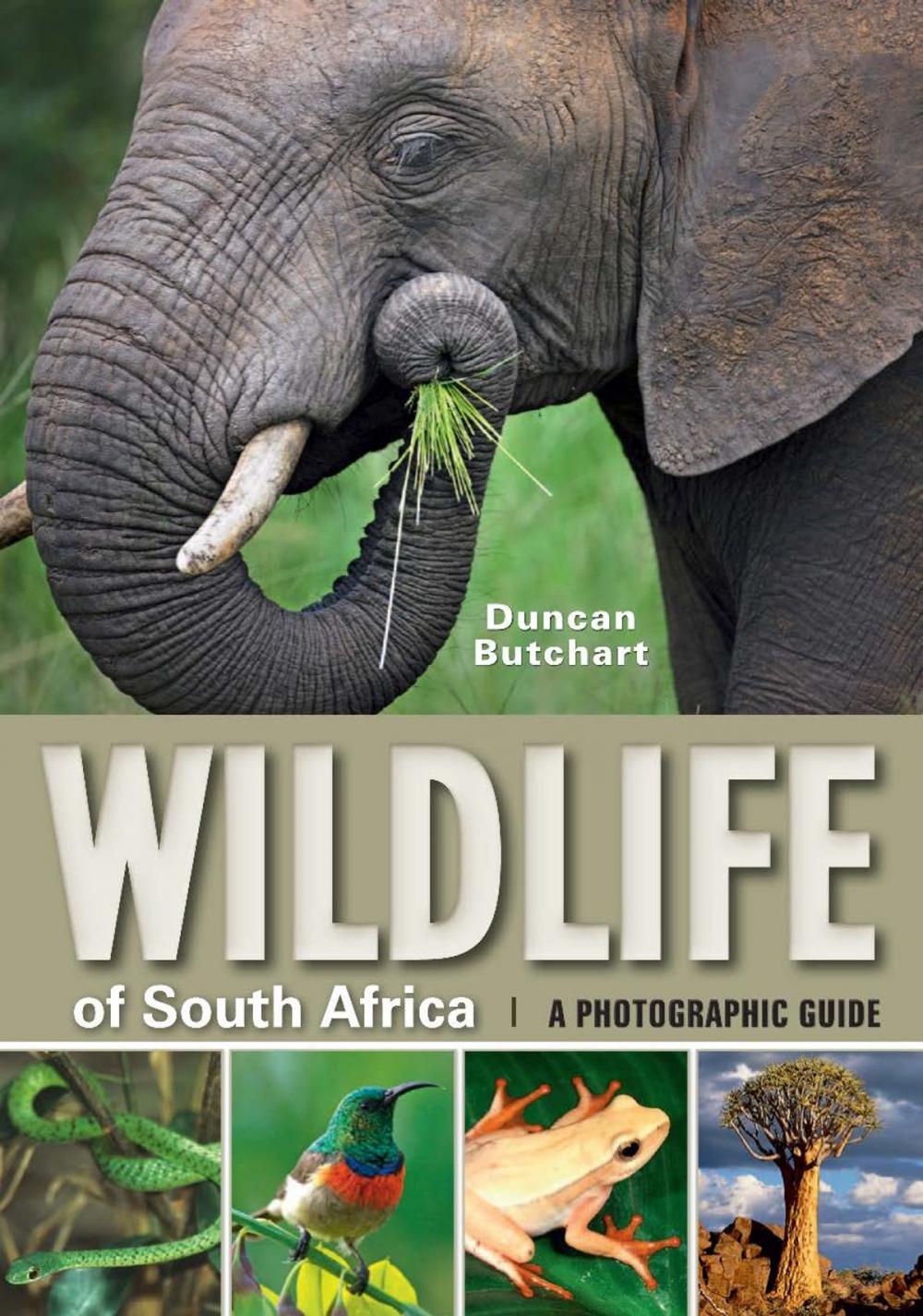 Big bigCover of Wildlife of South Africa