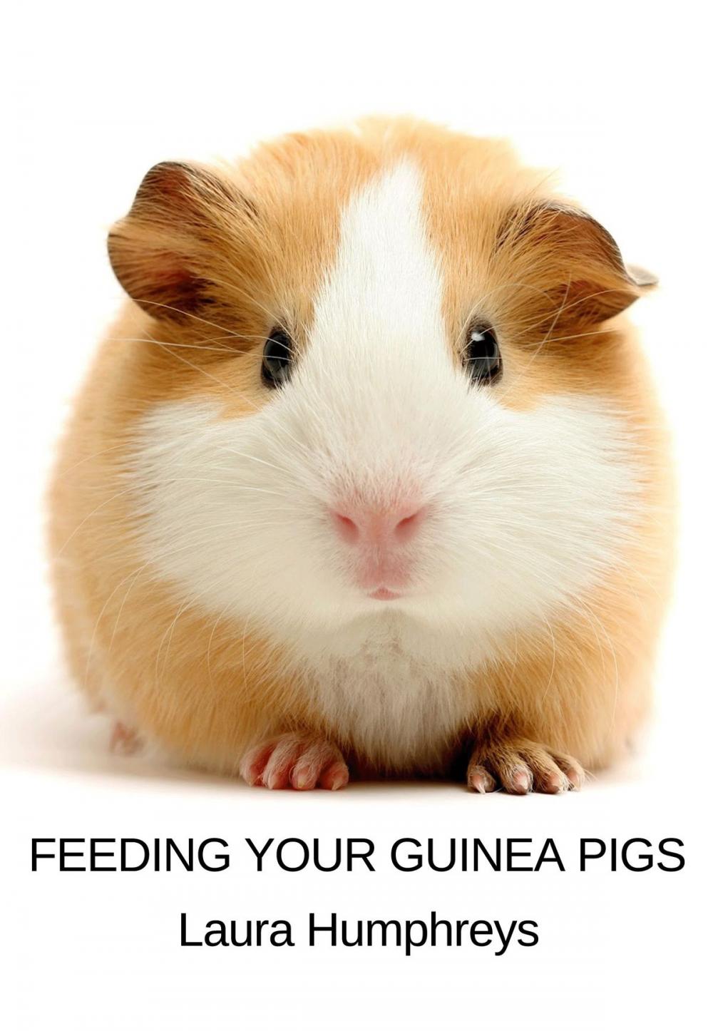 Big bigCover of Feeding Your Guinea Pigs