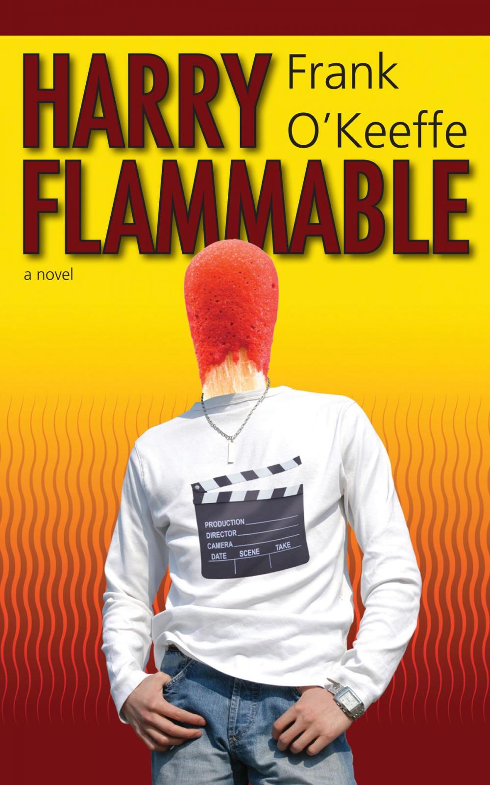 Big bigCover of Harry Flammable