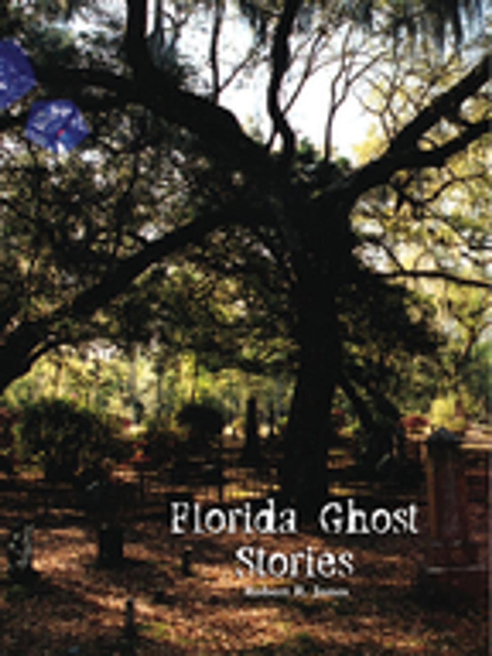 Big bigCover of Florida Ghost Stories