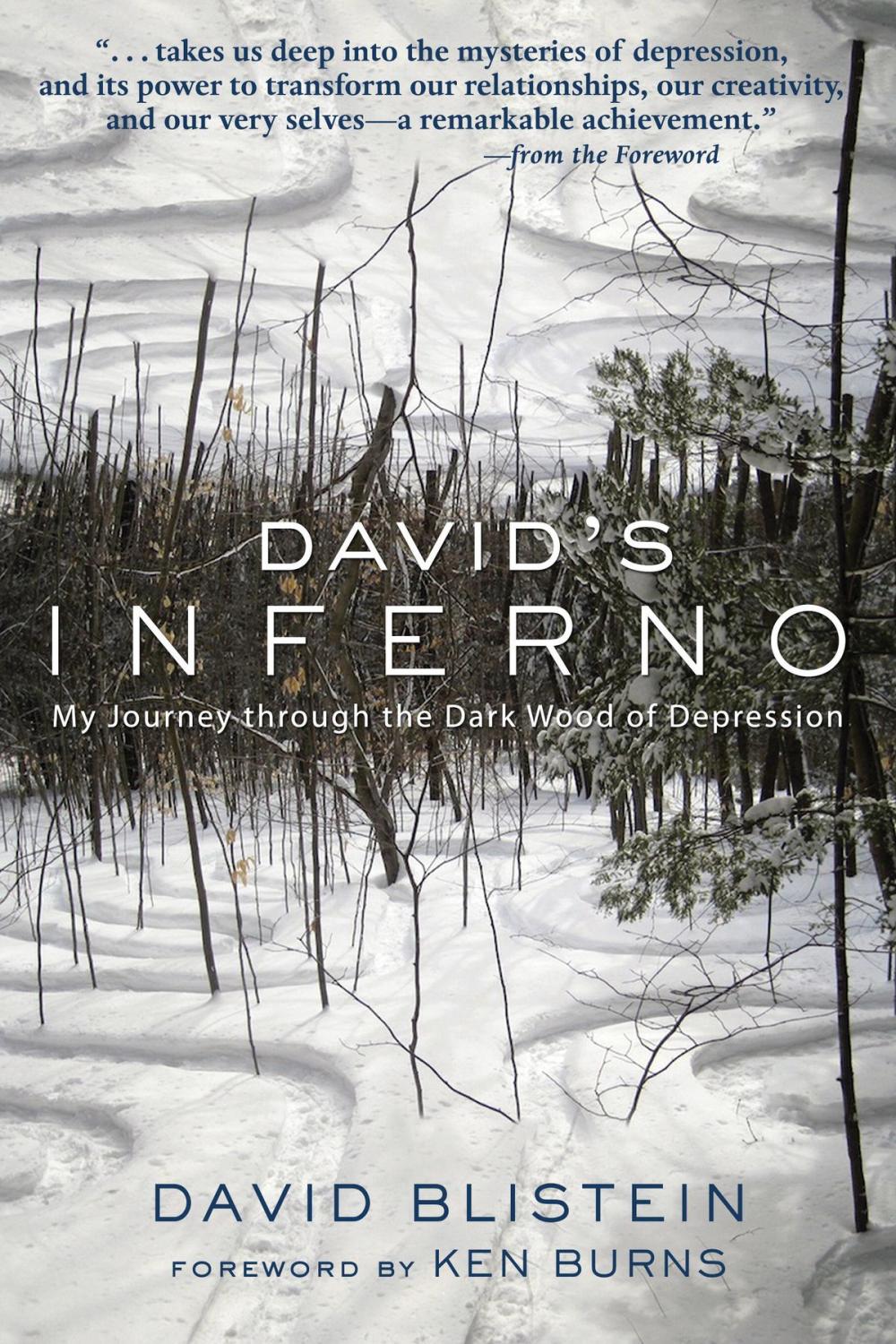 Big bigCover of David's Inferno