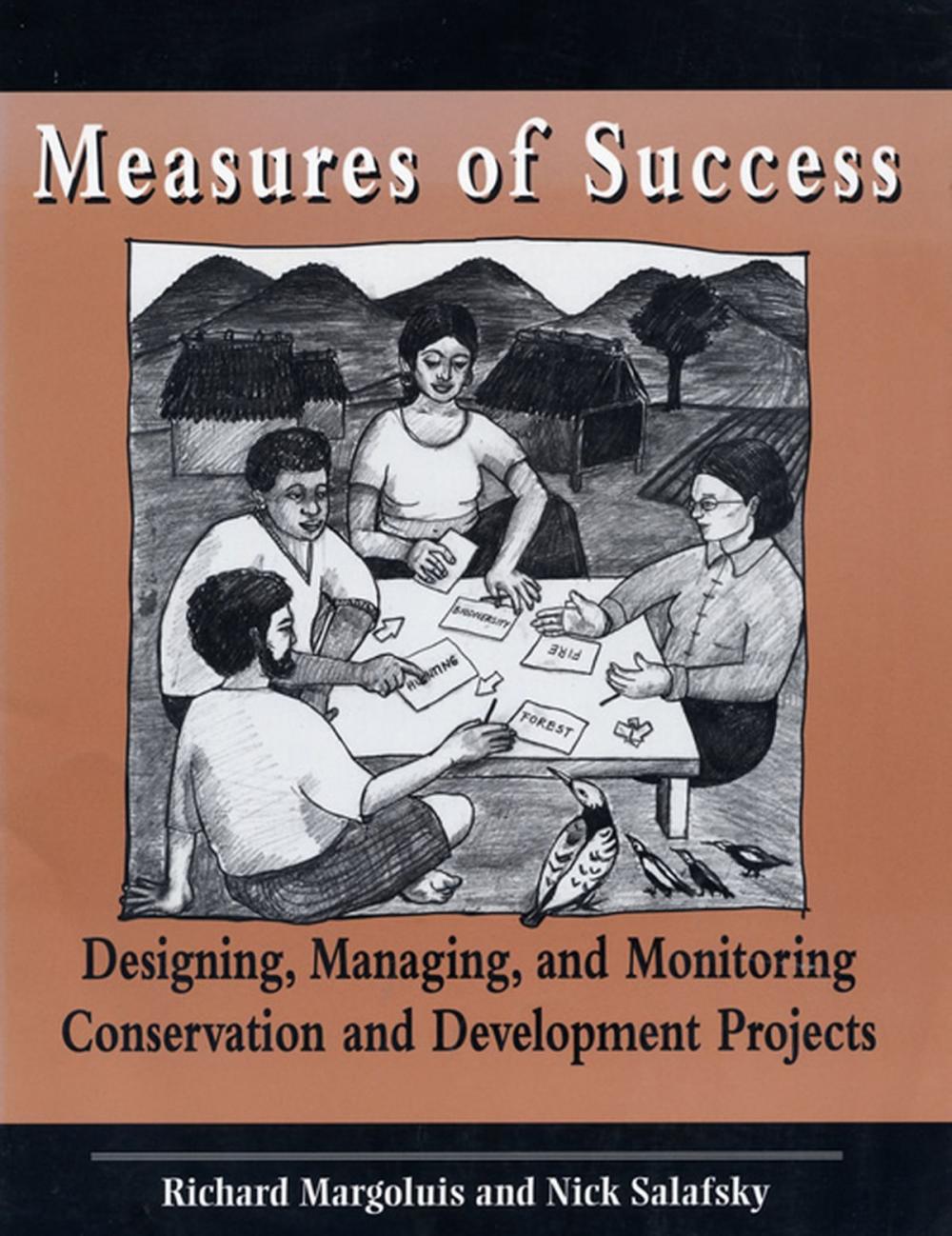 Big bigCover of Measures of Success