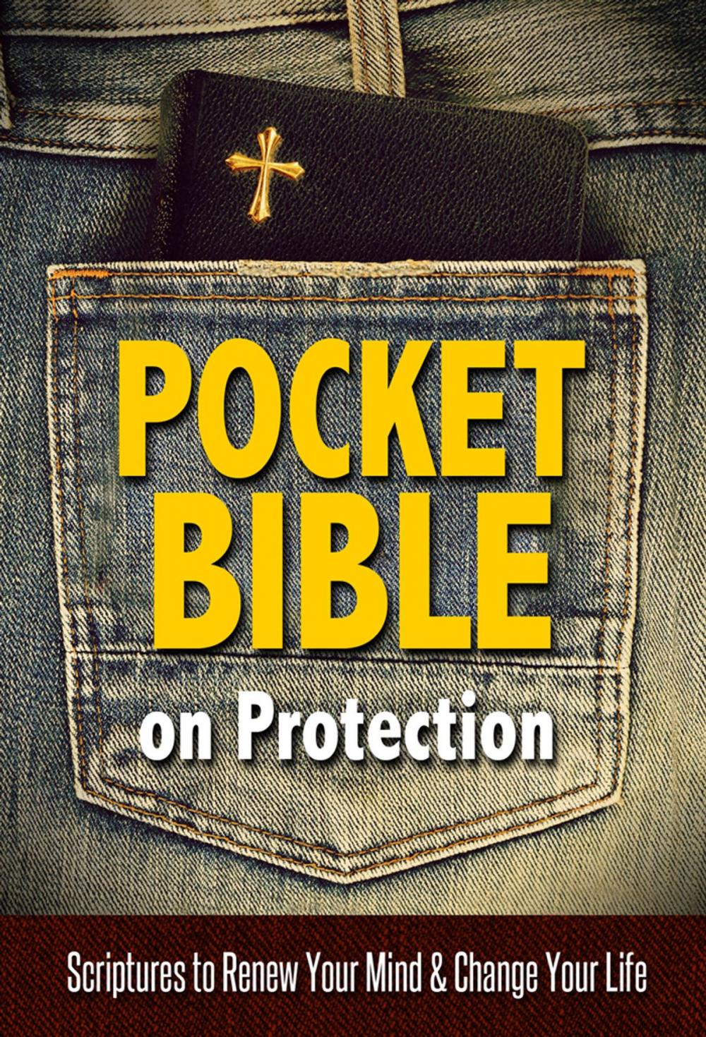 Big bigCover of Pocket Bible on Protection