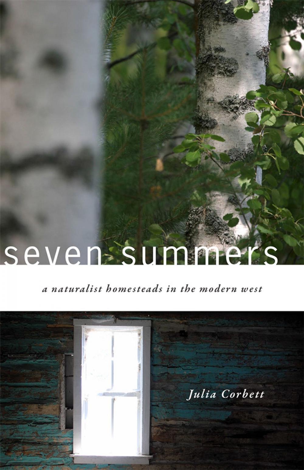 Big bigCover of Seven Summers