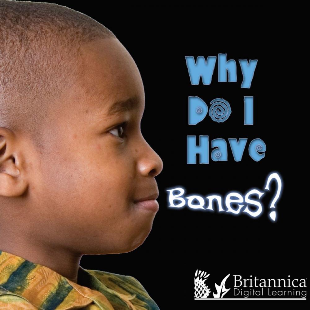 Big bigCover of Why Do I Have Bones?
