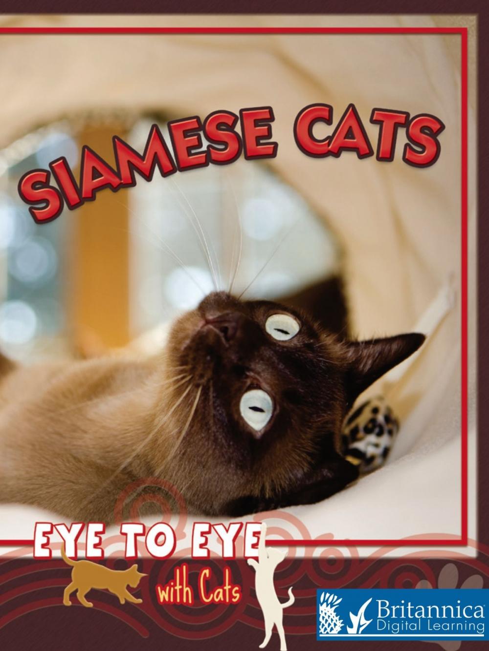 Big bigCover of Siamese Cats