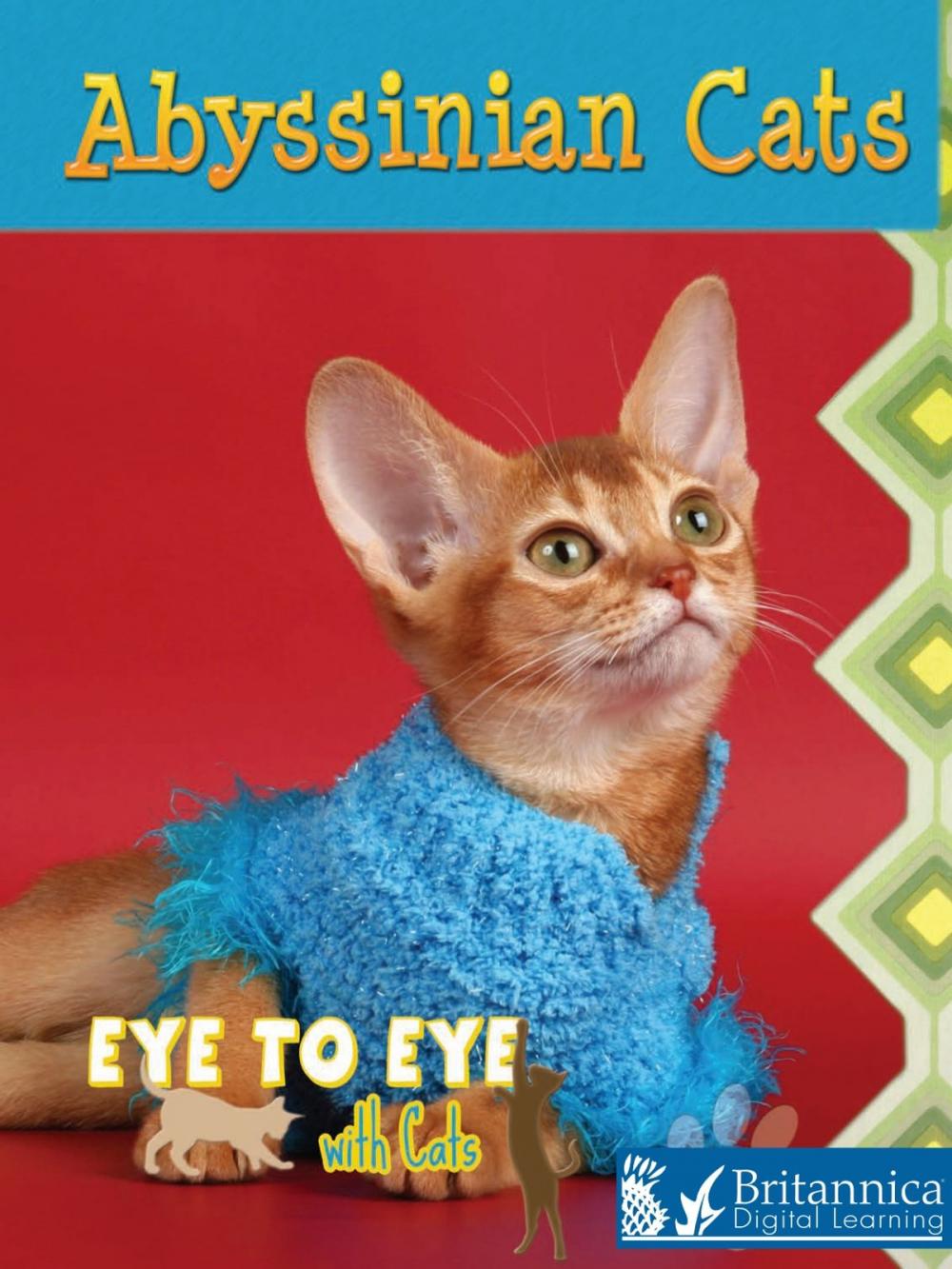 Big bigCover of Abyssinian Cats
