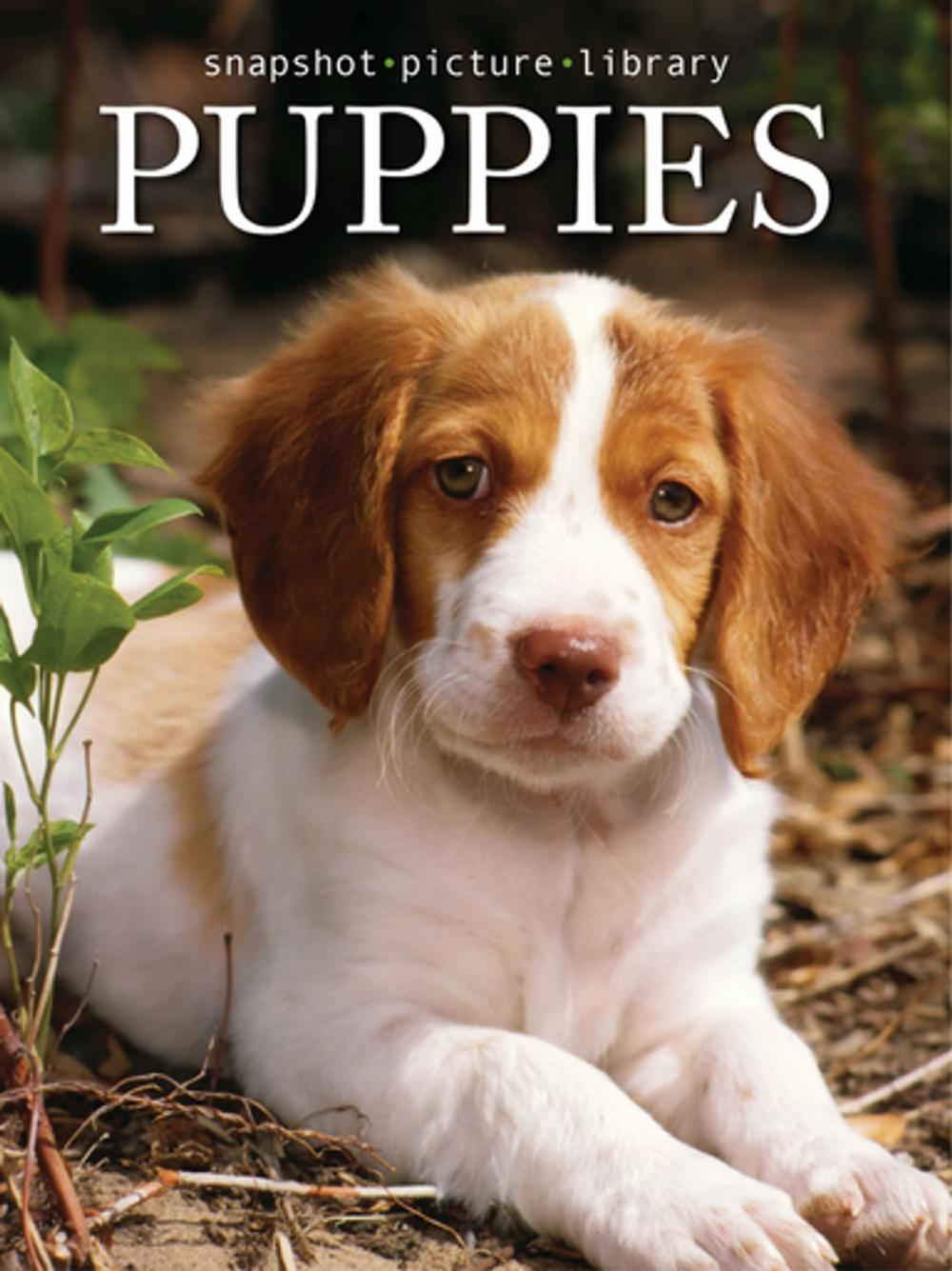 Big bigCover of Puppies