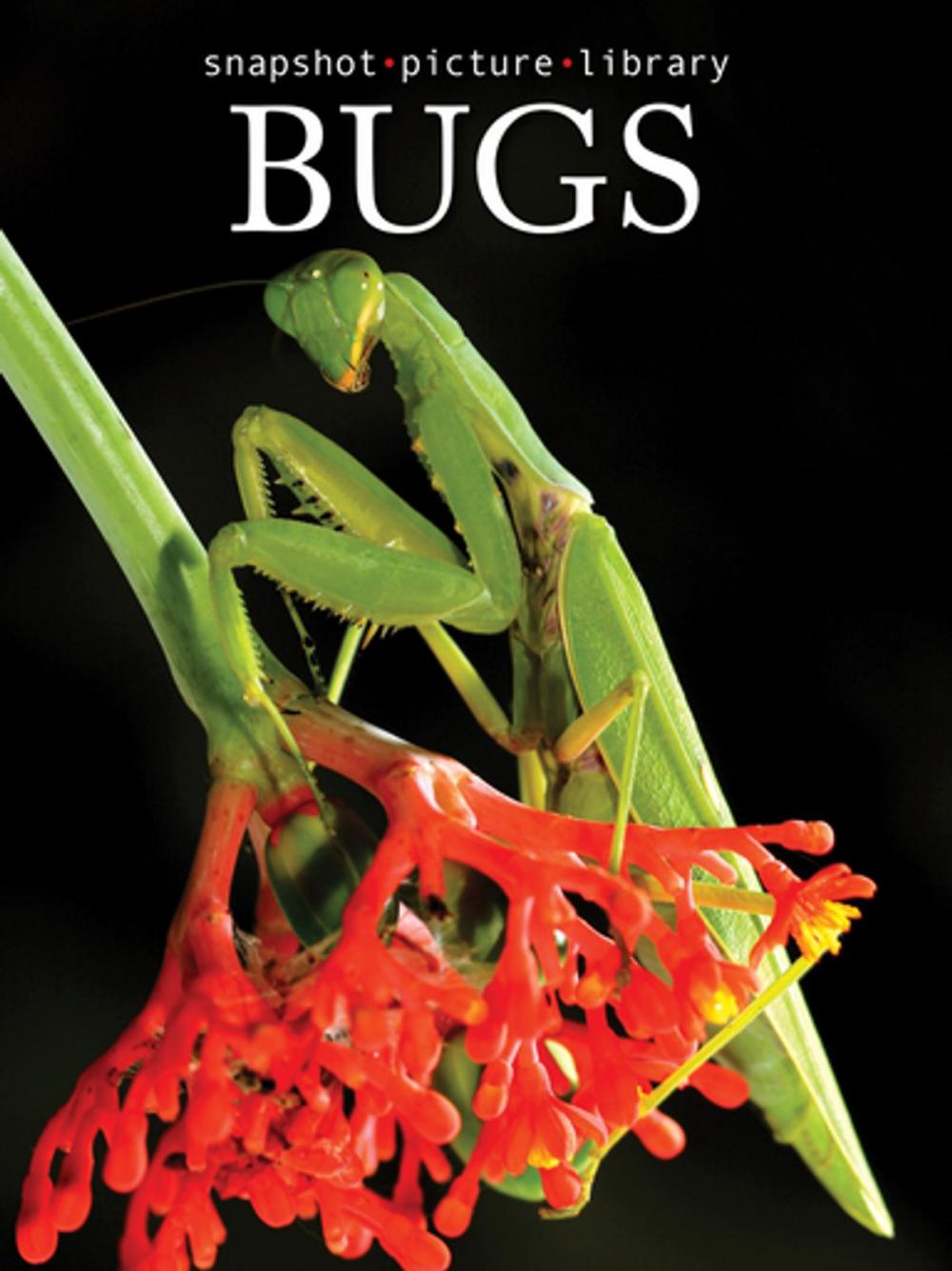 Big bigCover of Bugs