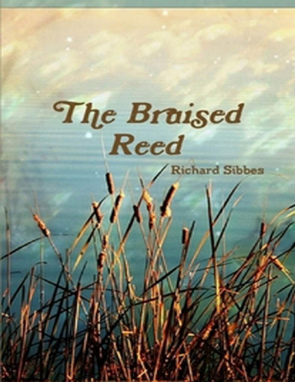 Big bigCover of The Bruised Reed