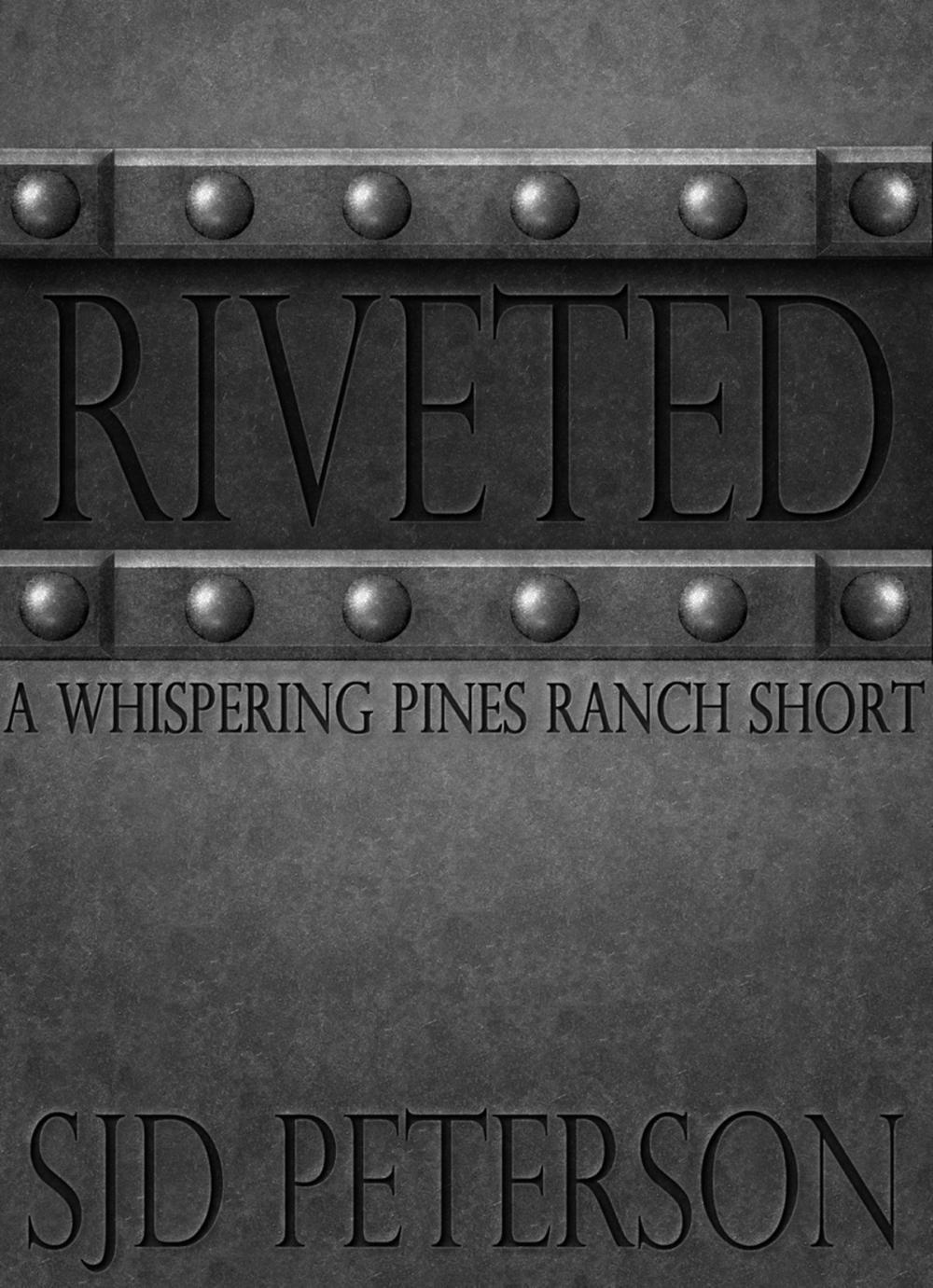Big bigCover of Riveted