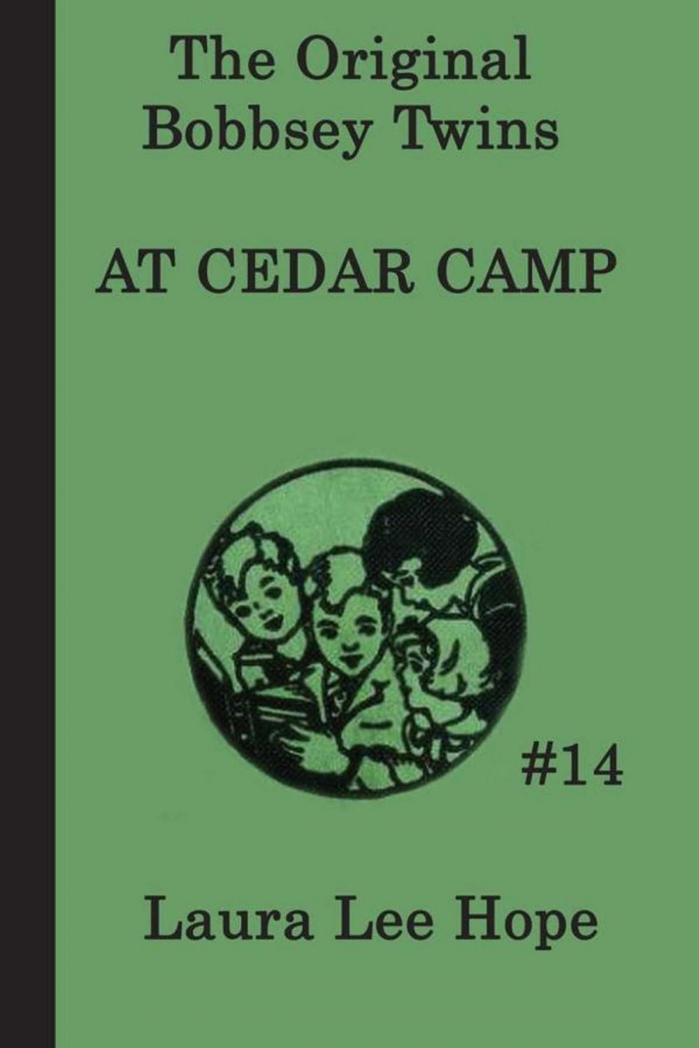 Big bigCover of The Bobbsey Twins at Cedar Camp