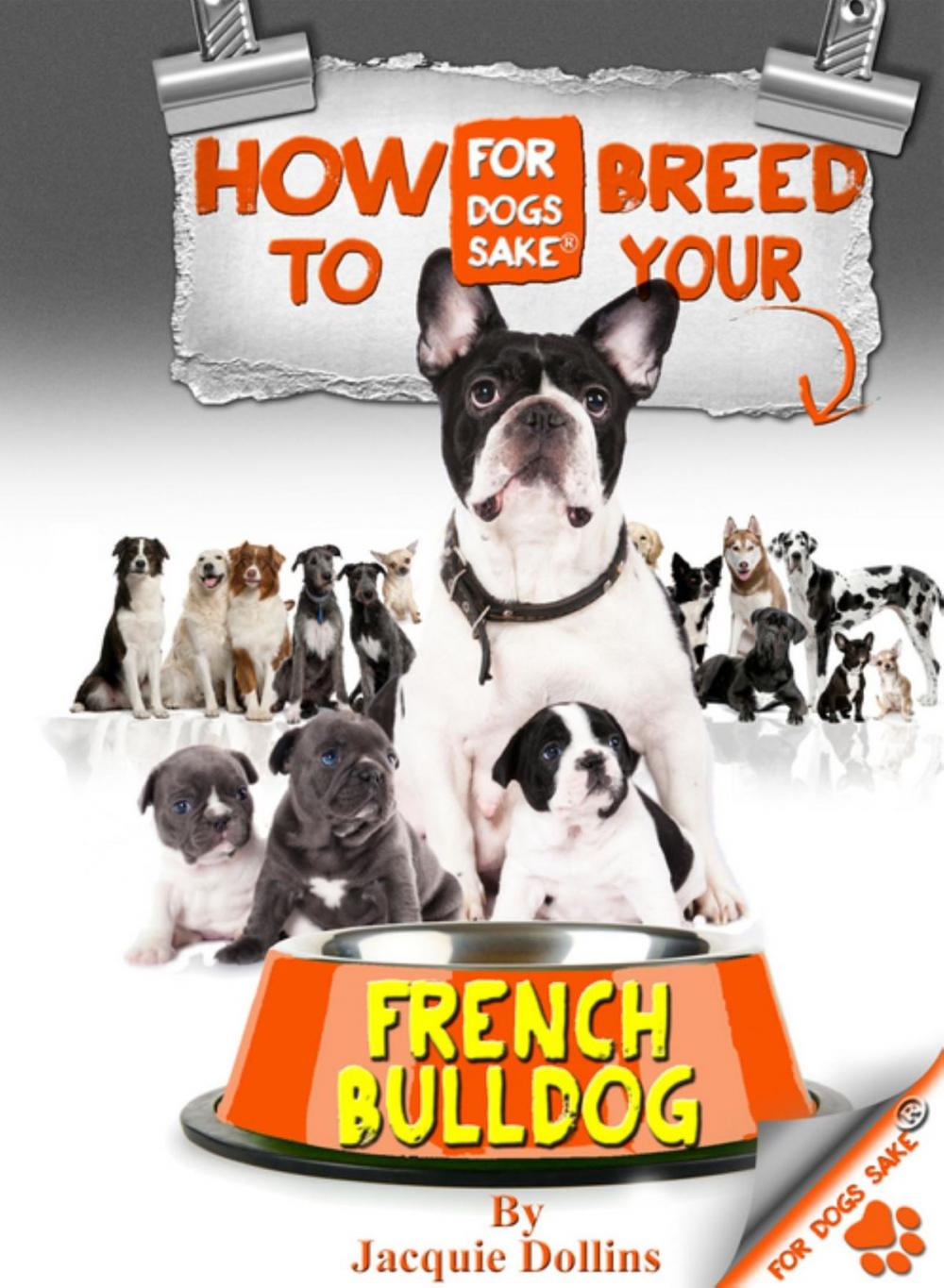 Big bigCover of How to Breed your French Bulldog