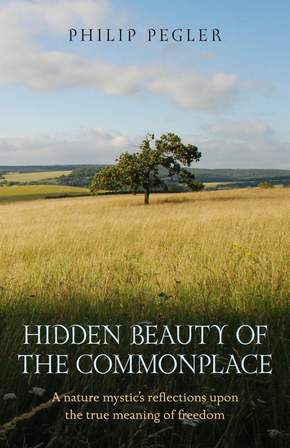 Big bigCover of Hidden Beauty of the Commonplace