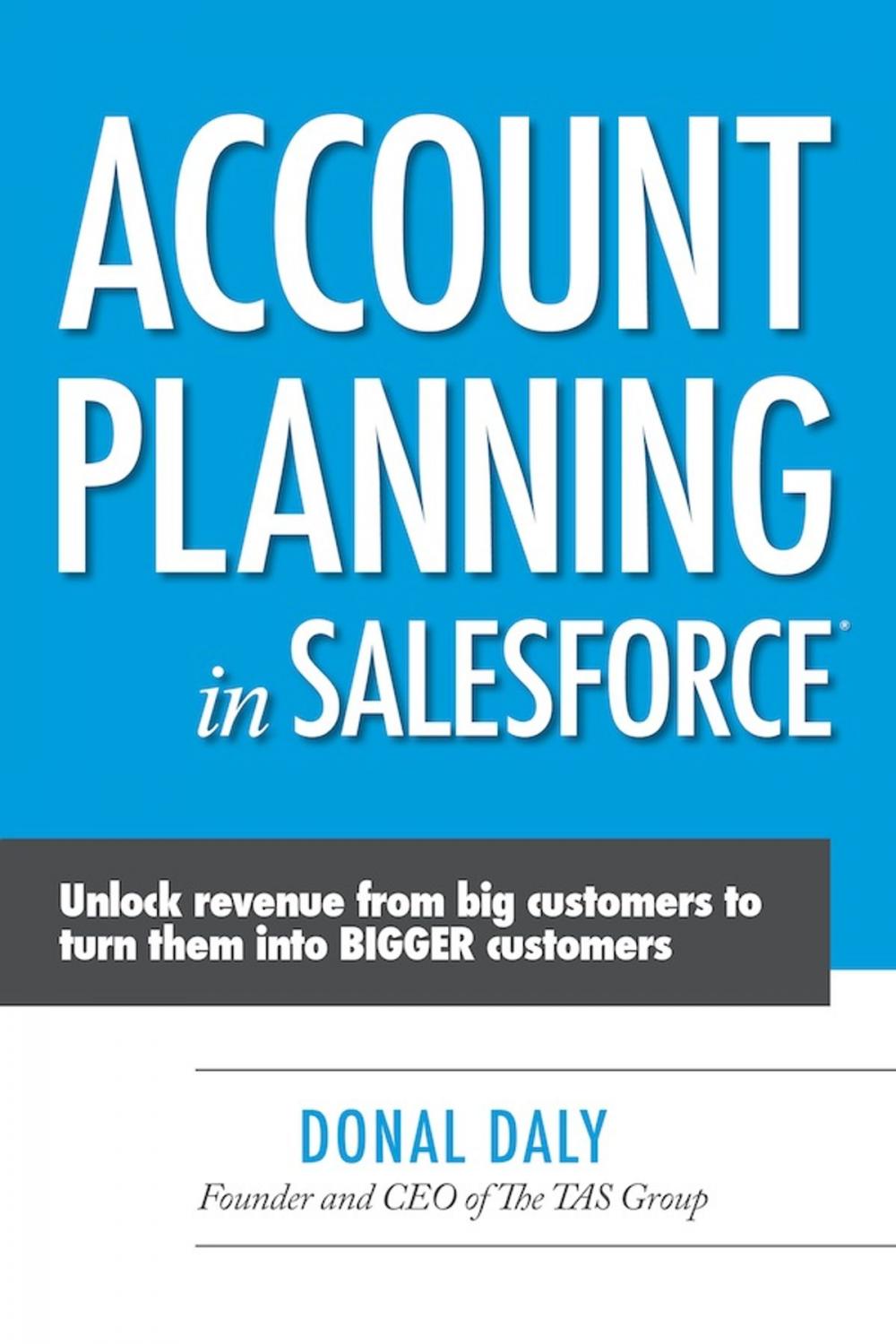 Big bigCover of Account Planning in Salesforce: Unlock Revenue from Big Customers to Turn Them into BIGGER Customers