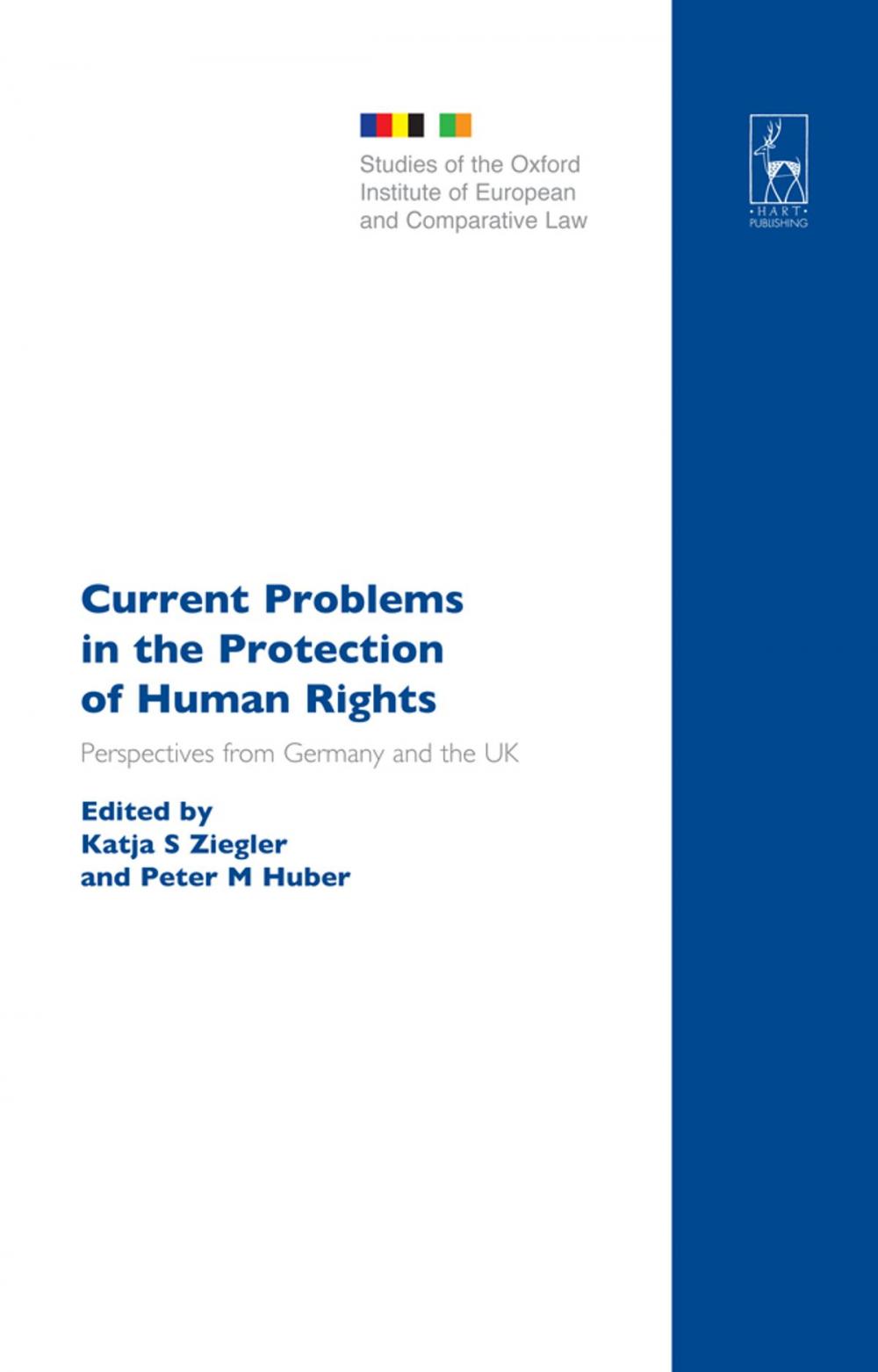 Big bigCover of Current Problems in the Protection of Human Rights