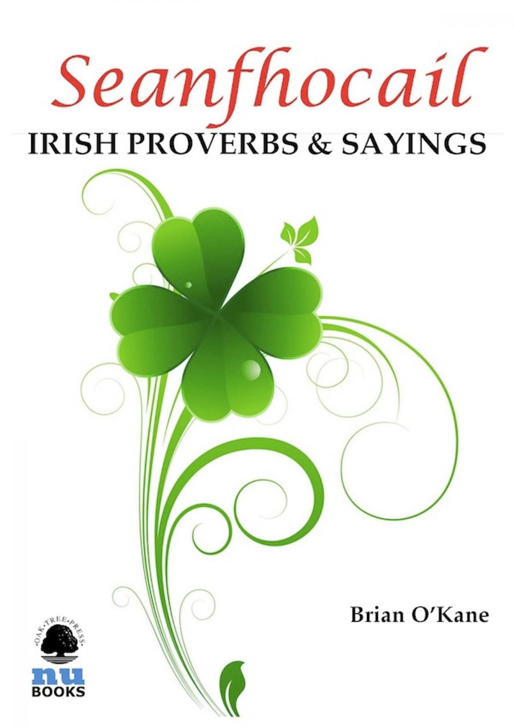 Big bigCover of Seanfhocail: Irish Proverbs & Sayings: More than 250 with translations to ponder and enjoy!