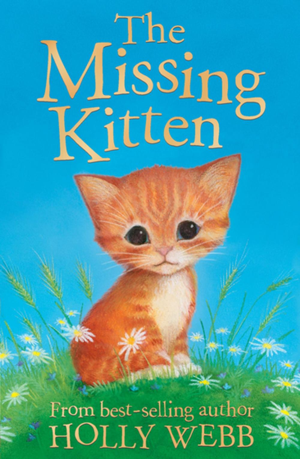 Big bigCover of The Missing Kitten