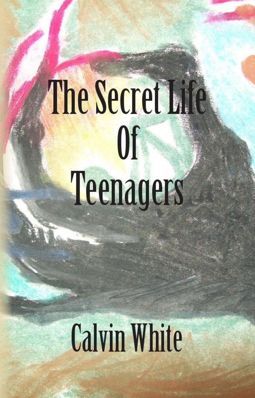 Big bigCover of The Secret Life of Teenagers