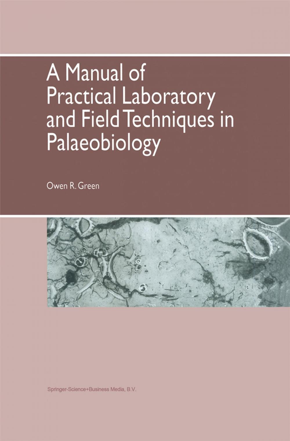 Big bigCover of A Manual of Practical Laboratory and Field Techniques in Palaeobiology