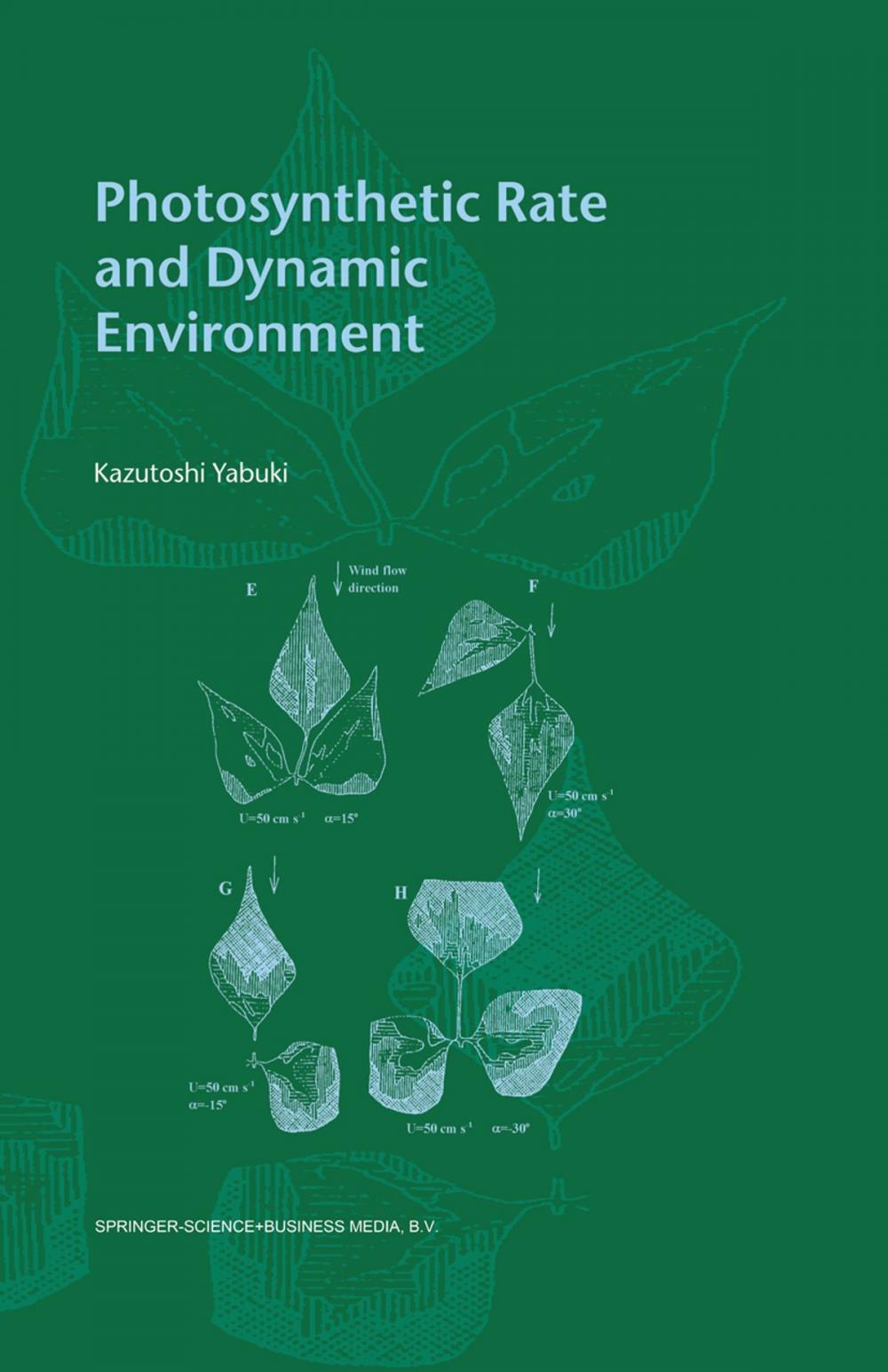 Big bigCover of Photosynthetic Rate and Dynamic Environment
