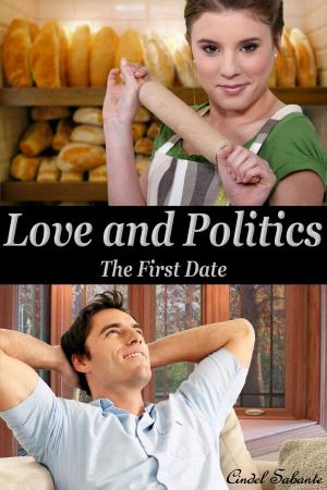 Cover of Love and Politics - The First Date