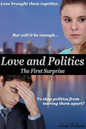 Cover of the book Love and Politics - The First Surprise by Cindel Sabante