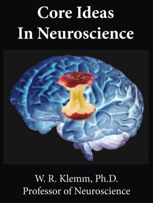 Book cover of Core Ideas in Neuroscience, 2nd Edition