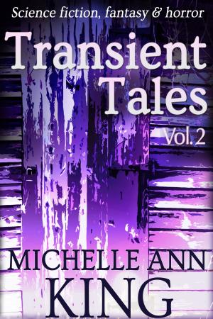 bigCover of the book Transient Tales Volume 2 by 