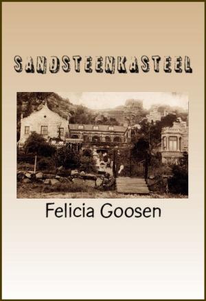Cover of the book Sandsteenkasteel by Virginia Greville