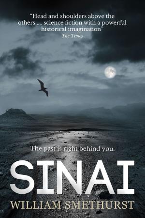 Cover of the book Sinai by Alexander Francis