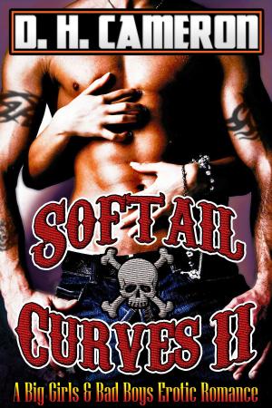 Book cover of Softail Curves II
