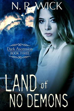 Book cover of Land of No Demons