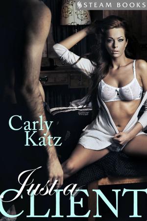 Cover of the book Just a Client by Crystal White, Steam Books