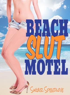 Cover of the book Beach Slut Motel by Sugar Spendlove