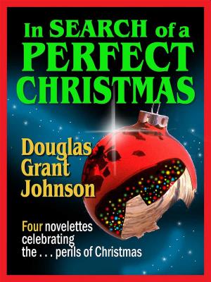Cover of the book In Search of a Perfect Christmas by David S. Kidder, Noah D. Oppenheim