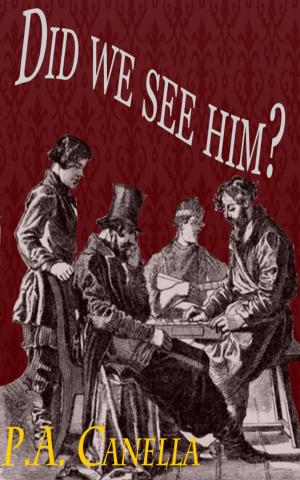 Book cover of Did we see him? (Expanded Version)