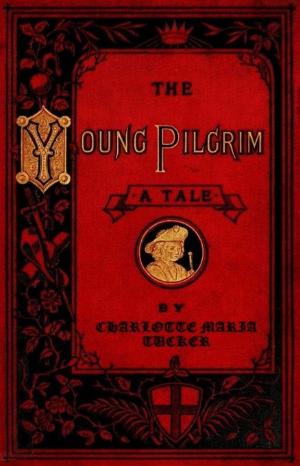 Cover of the book The Young Pilgrim by Florence M. Kingsley