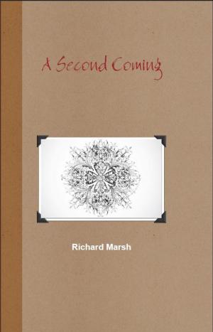 bigCover of the book A Second Coming by 