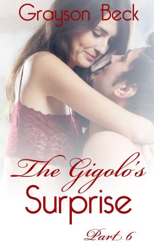 Book cover of The Gigolo's Surprise