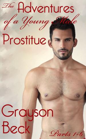 Cover of the book The Adventures of a Young Male Prostitute by Grayson Beck
