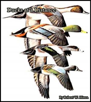 Cover of Ducks at a Distance