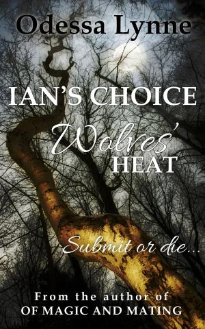 bigCover of the book Ian's Choice by 