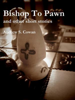 Book cover of Bishop To Pawn