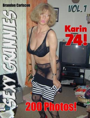 Book cover of Sexy Grannies Karin